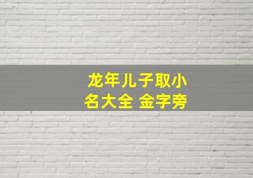 龙年儿子取小名大全 金字旁